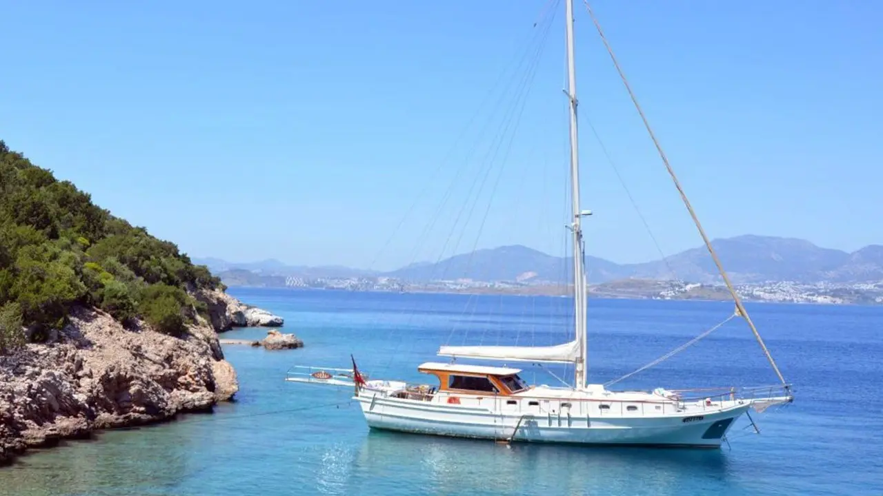 Zorbas (Luxurious)